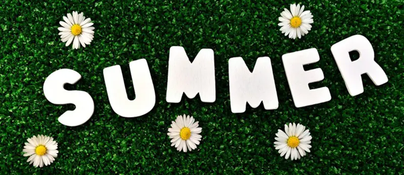 Summer at Energy Cool: Sustainable Innovations 🌞🌿